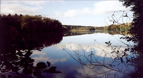 Der Salemer See